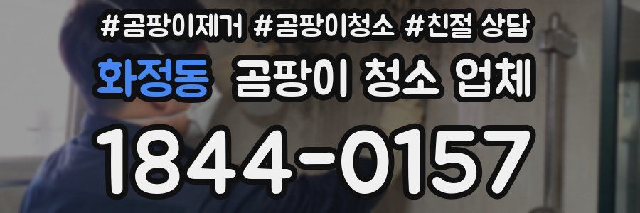화정동 곰팡이 청소 업체