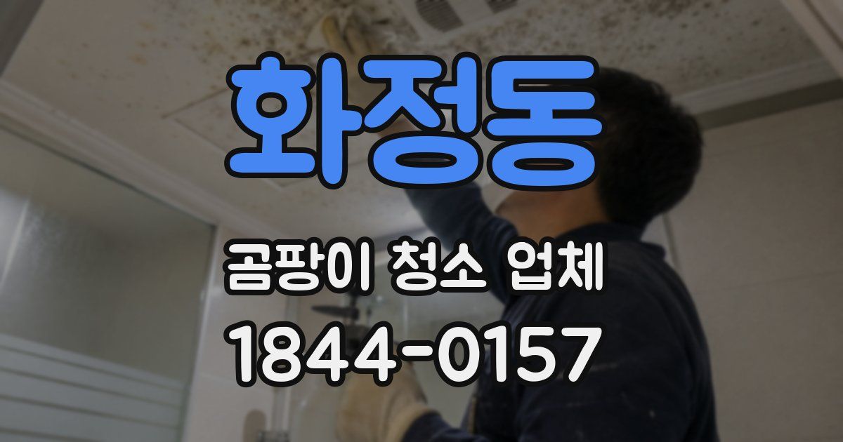 화정동 곰팡이 청소 업체