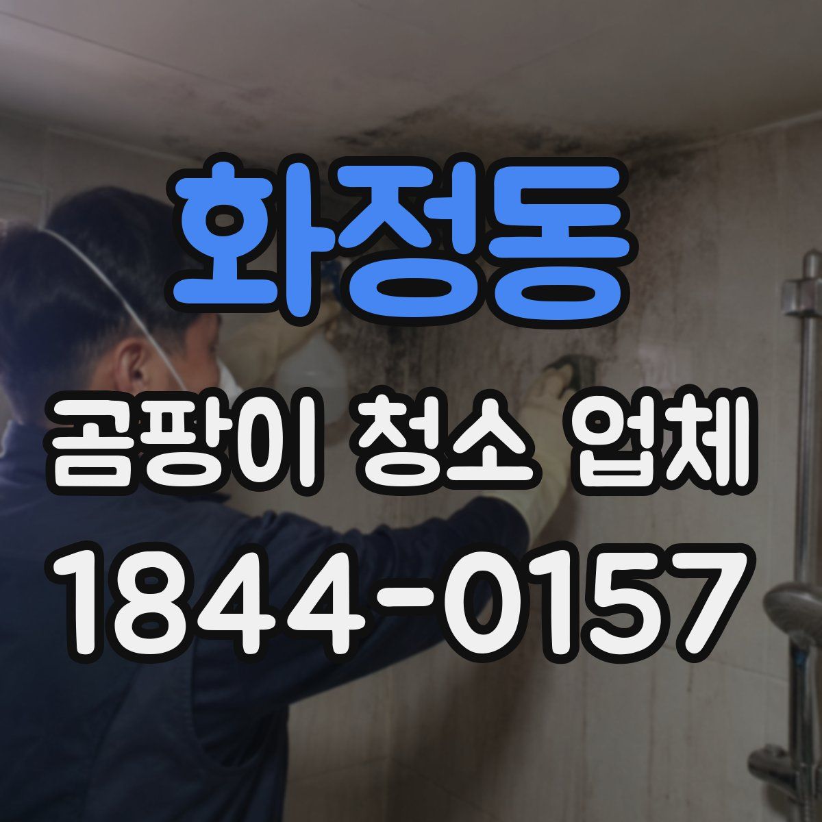 화정동 곰팡이 청소 업체