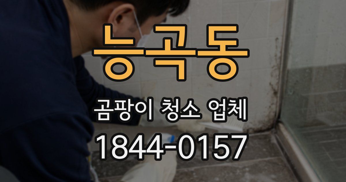 능곡동 곰팡이 청소 업체