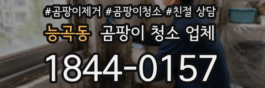 능곡동 곰팡이 청소 업체