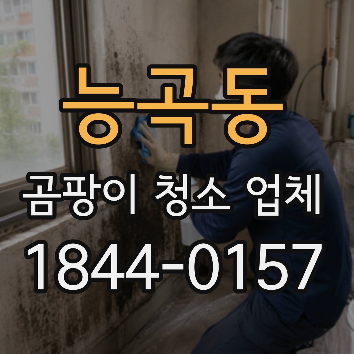 능곡동 곰팡이 청소 업체