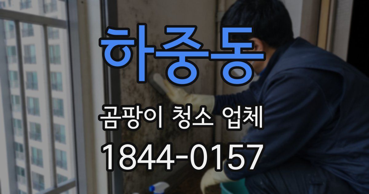 하중동 곰팡이 청소 업체