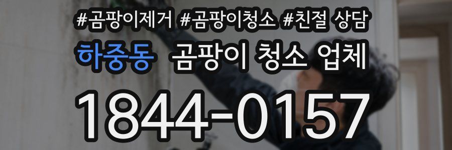 하중동 곰팡이 청소 업체