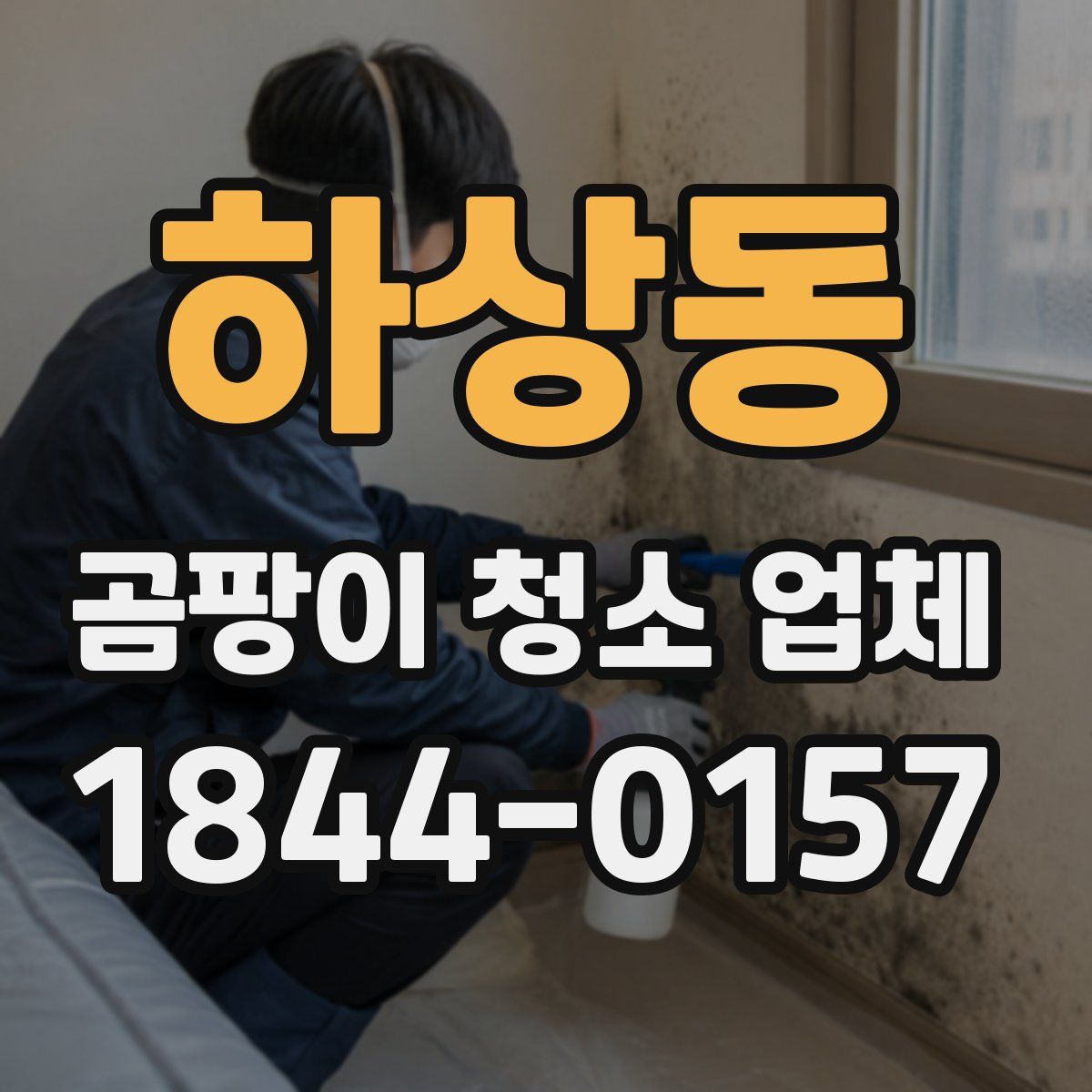 하상동 곰팡이 청소 업체