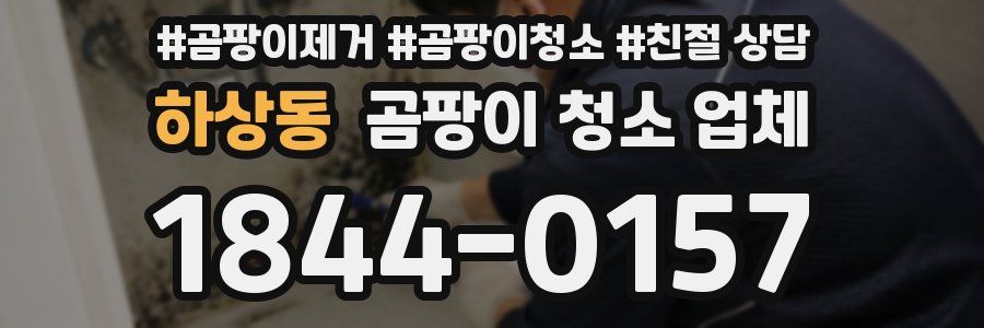 하상동 곰팡이 청소 업체