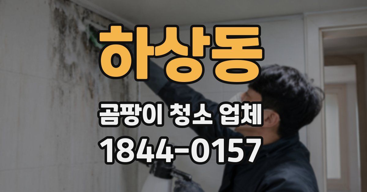 하상동 곰팡이 청소 업체