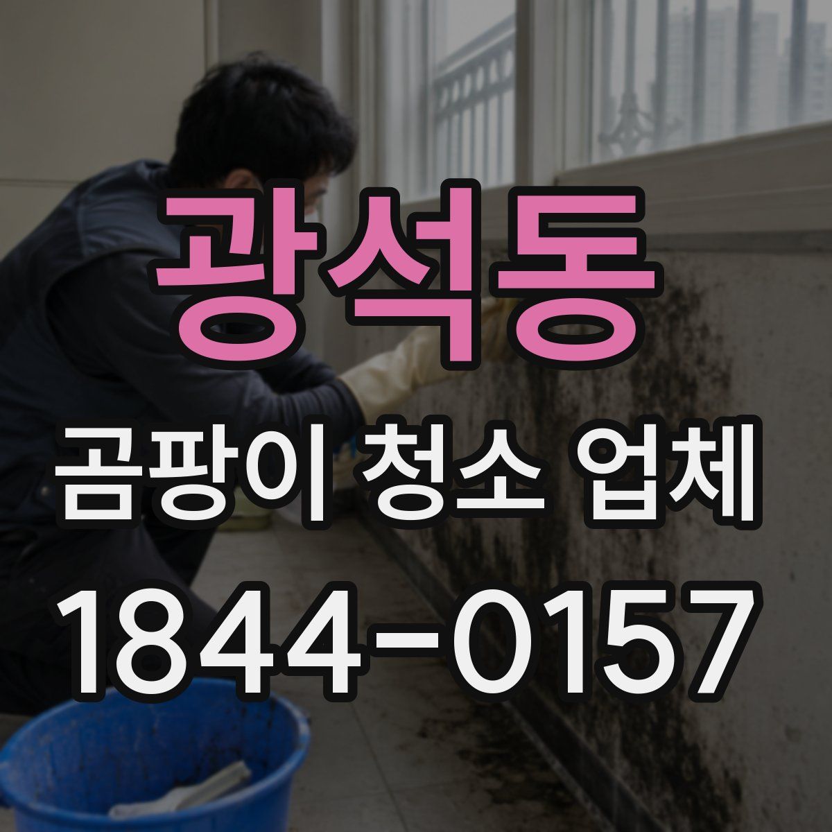 광석동 곰팡이 청소 업체
