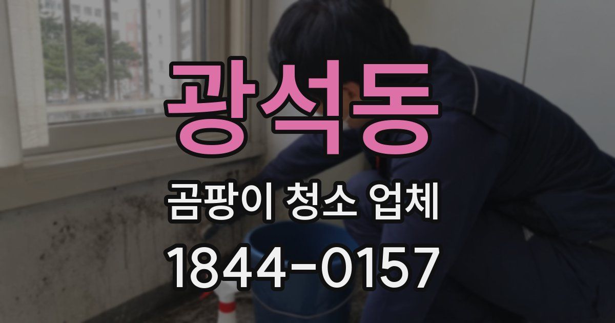 광석동 곰팡이 청소 업체