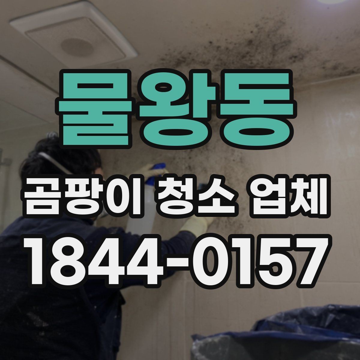 물왕동 곰팡이 청소 업체 견적이 달라지는 조건들