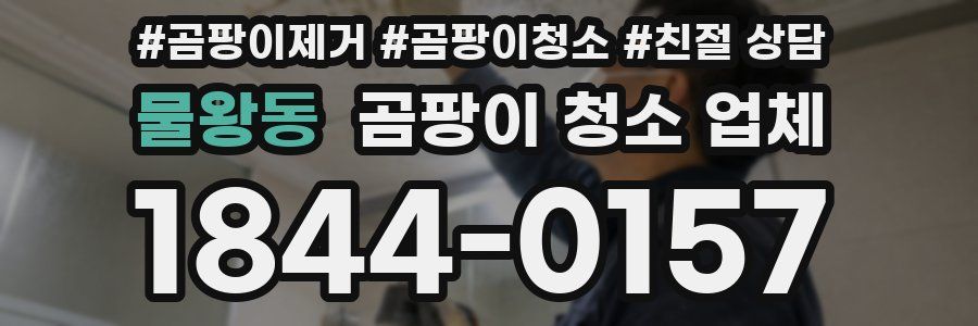 물왕동 곰팡이 청소 업체
