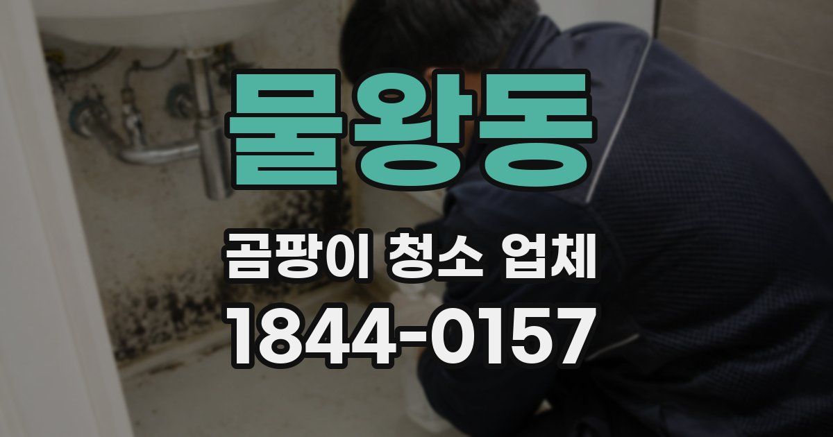 물왕동 곰팡이 청소 업체