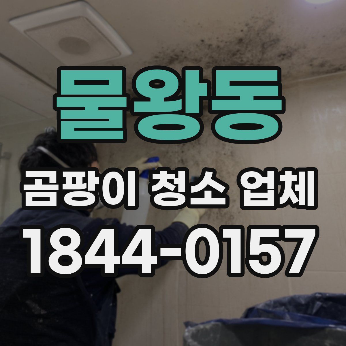 물왕동 곰팡이 청소 업체