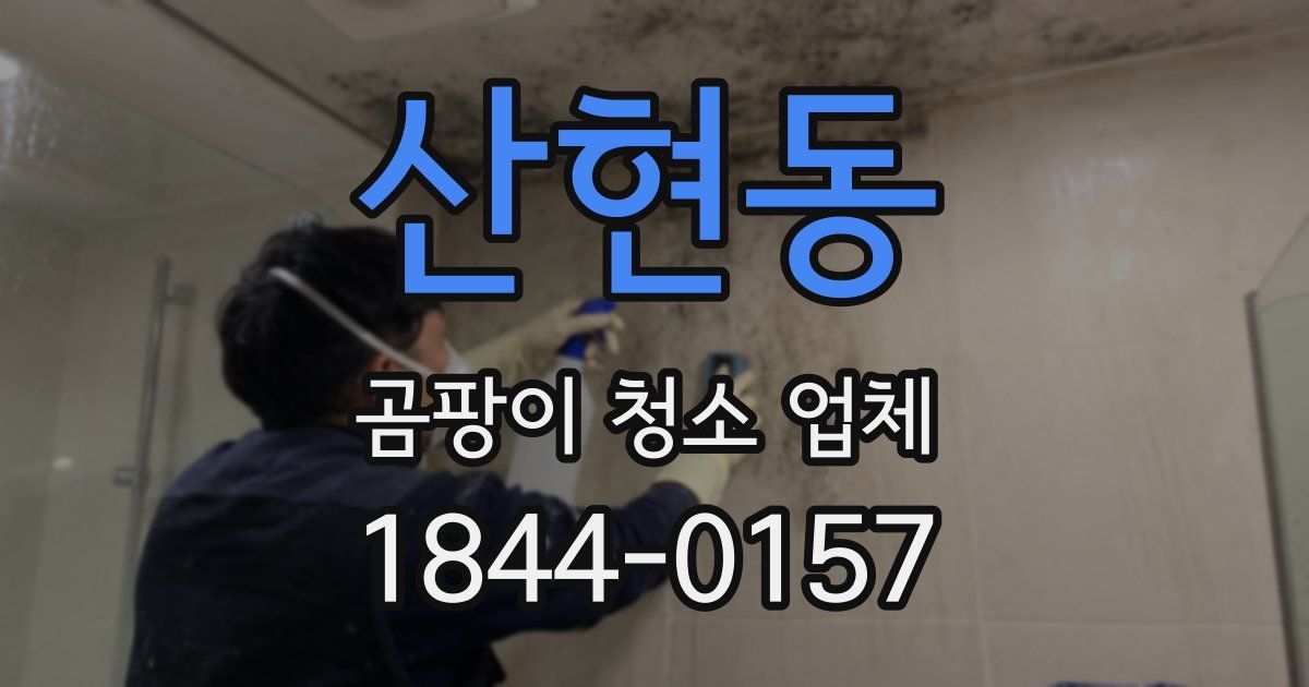 산현동 곰팡이 청소 업체