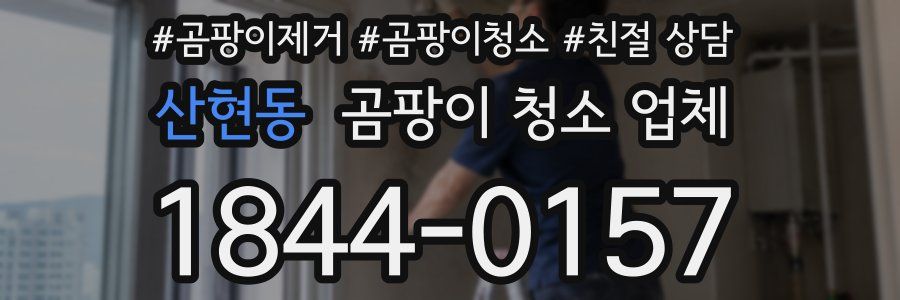 산현동 곰팡이 청소 업체