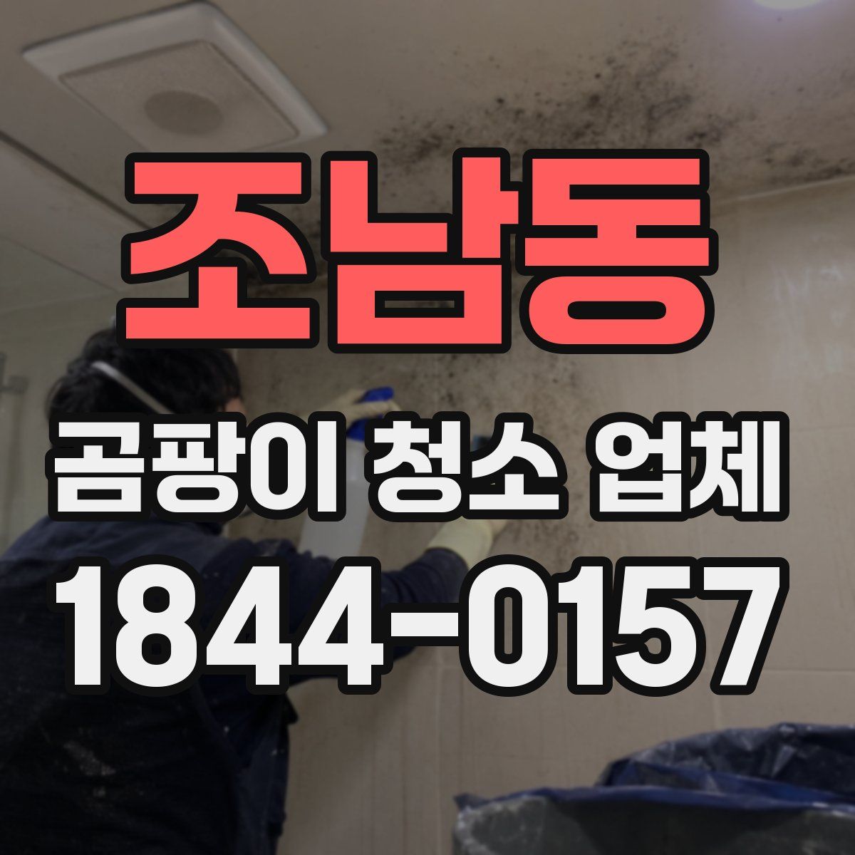 조남동 곰팡이 청소 업체