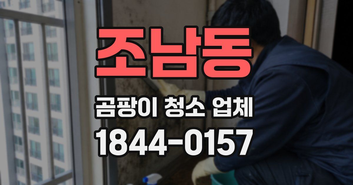 조남동 곰팡이 청소 업체