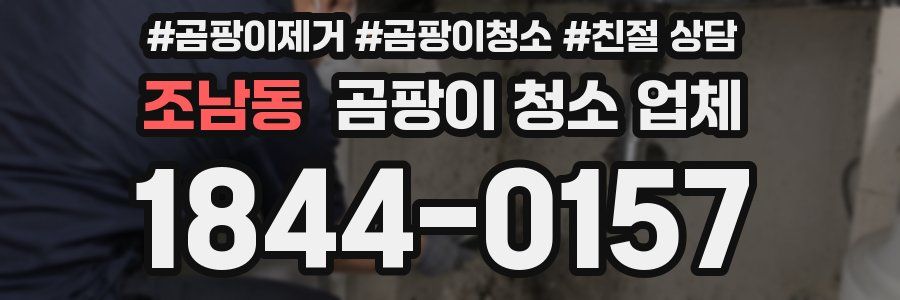 조남동 곰팡이 청소 업체