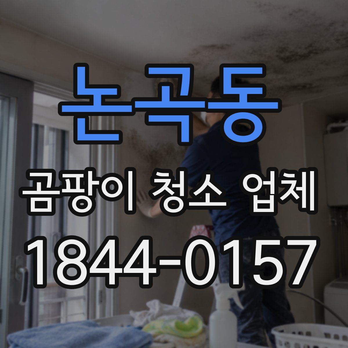 논곡동 곰팡이 청소 업체