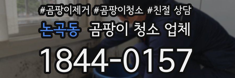 논곡동 곰팡이 청소 업체