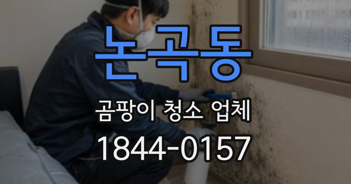 논곡동 곰팡이 청소 업체