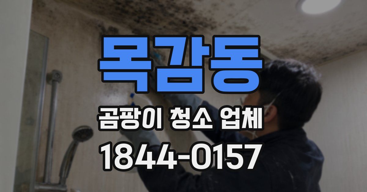 목감동 곰팡이 청소 업체