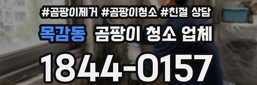목감동 곰팡이 청소 업체