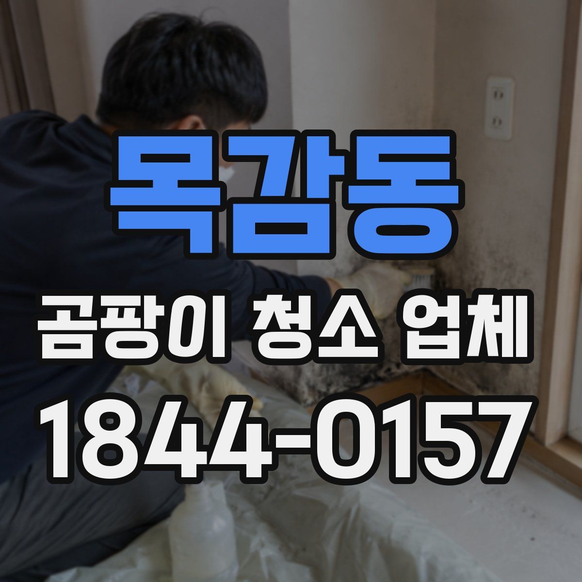 목감동 곰팡이 청소 업체