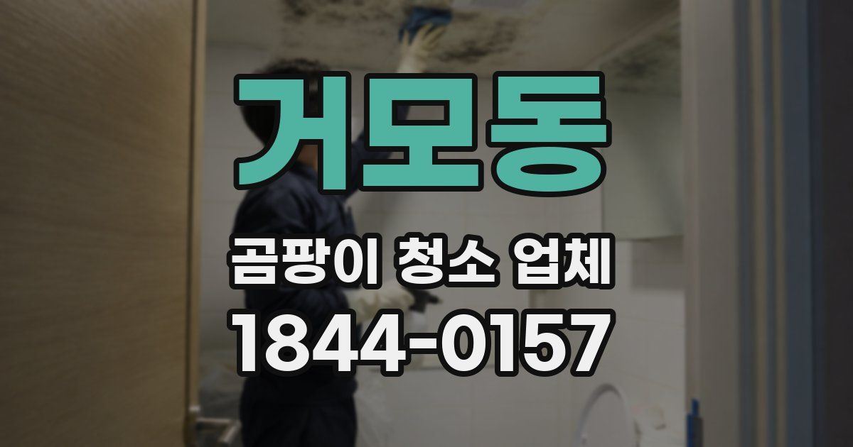 거모동 곰팡이 청소 업체
