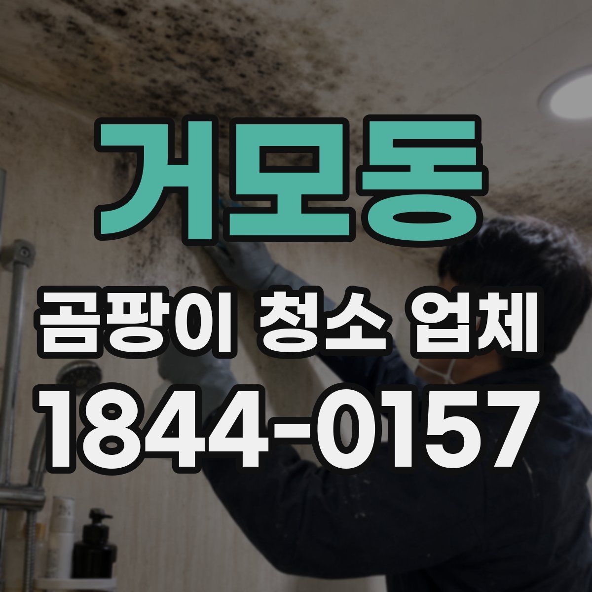 거모동 곰팡이 청소 업체