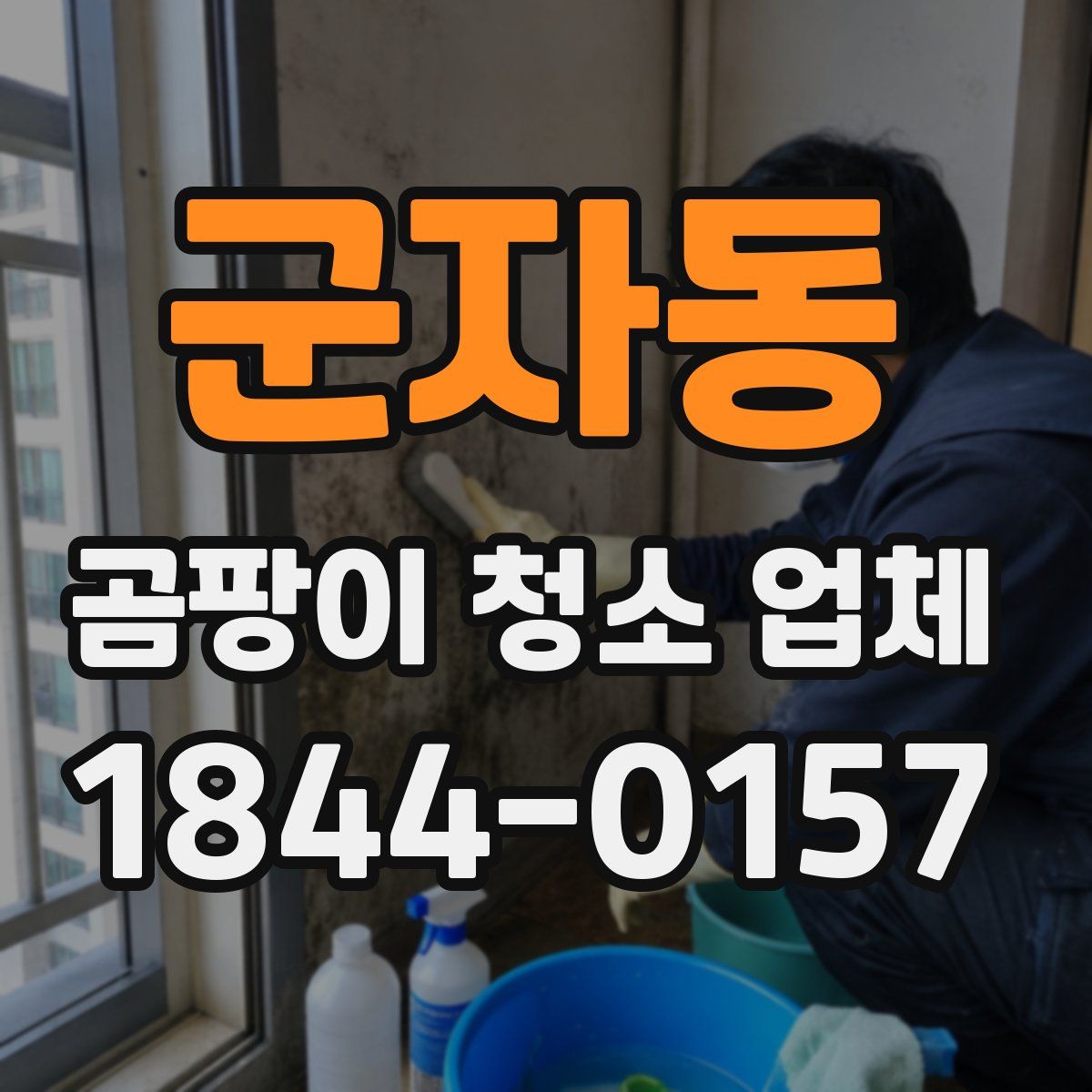 군자동 곰팡이 청소 업체