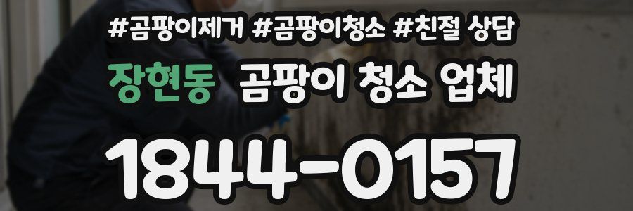 장현동 곰팡이 청소 업체