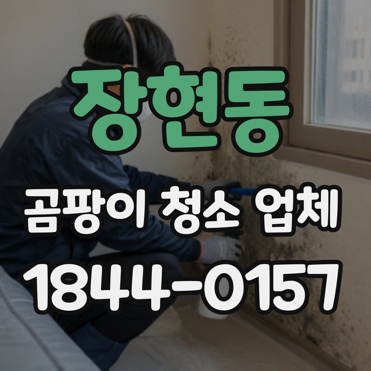 장현동 곰팡이 청소 업체