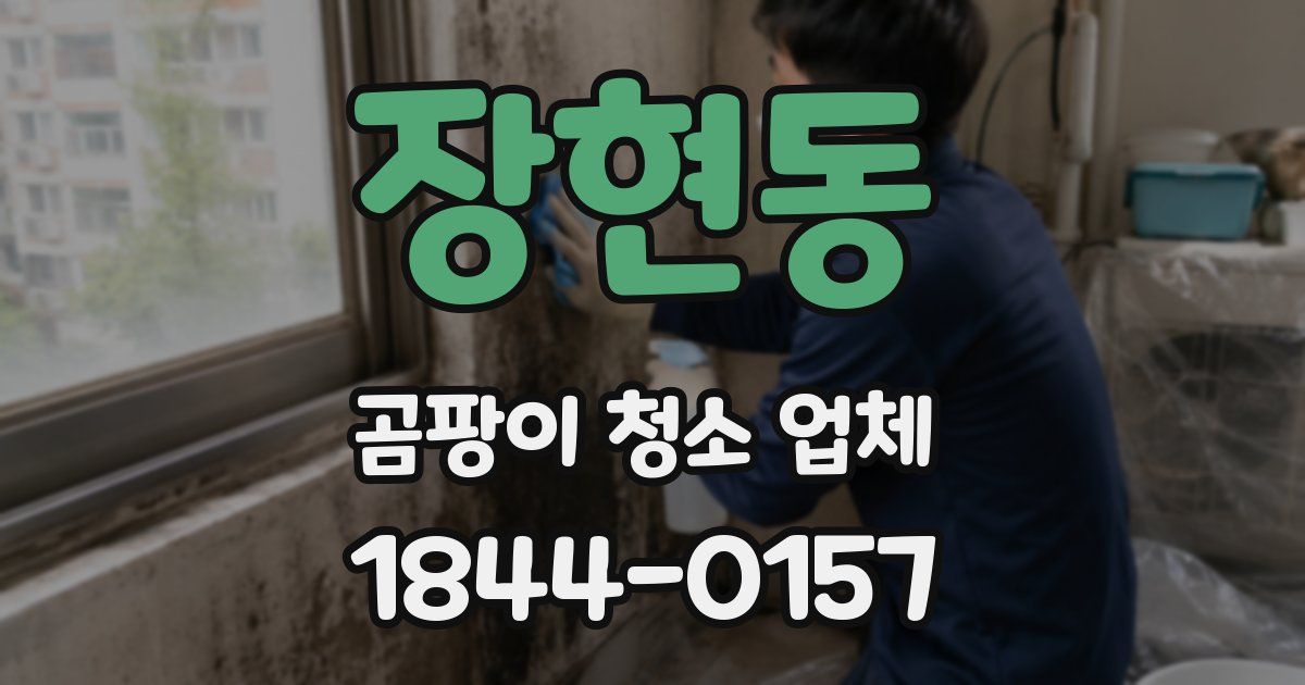 장현동 곰팡이 청소 업체
