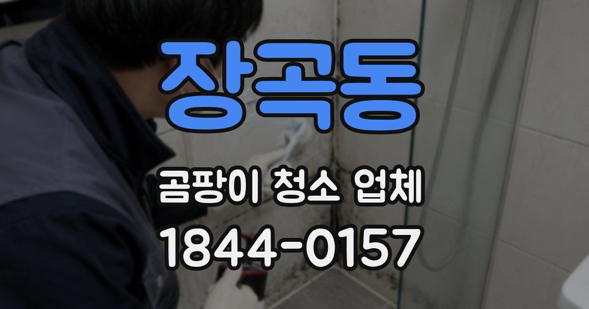 장곡동 곰팡이 청소 업체