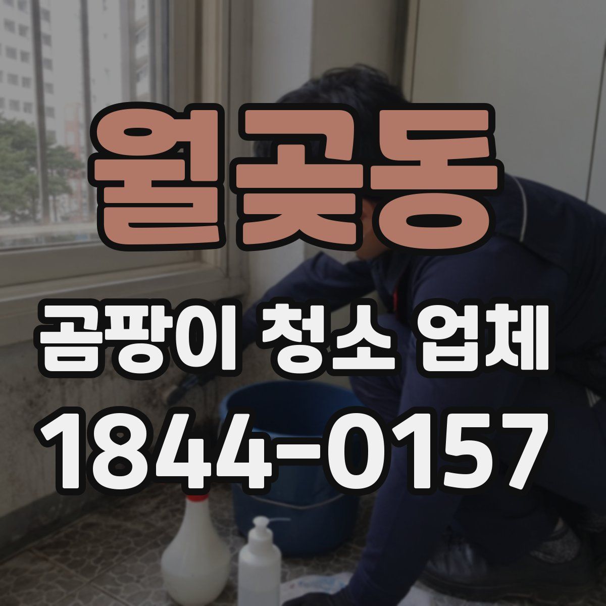 월곶동 곰팡이 청소 업체
