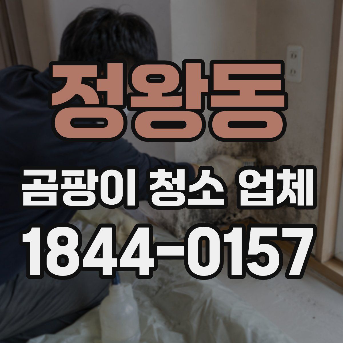 정왕동 곰팡이 청소 업체