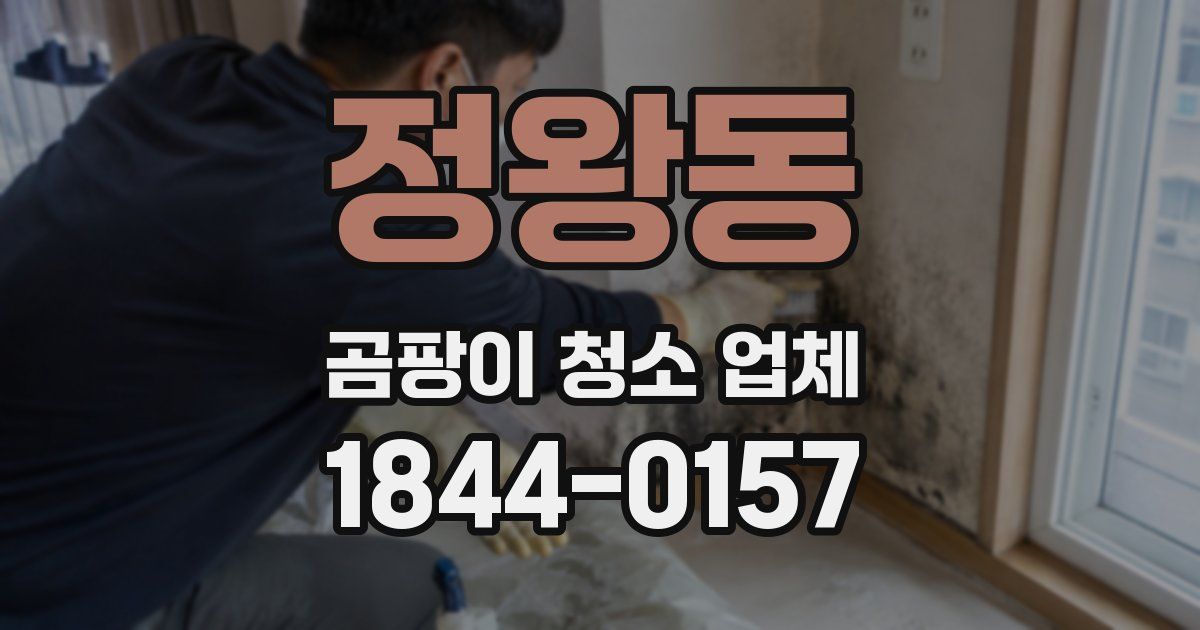 정왕동 곰팡이 청소 업체