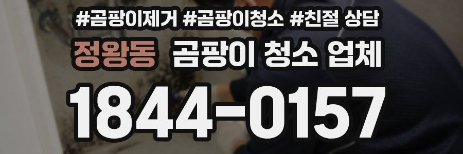 정왕동 곰팡이 청소 업체