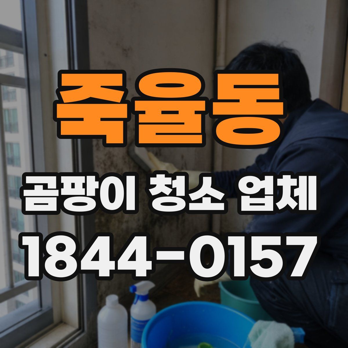 죽율동 곰팡이 청소 업체