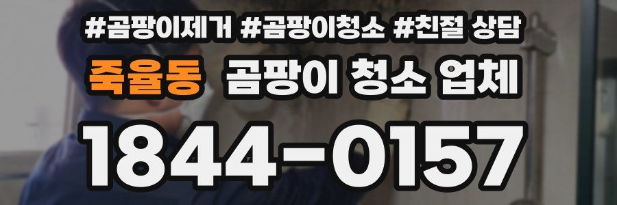 죽율동 곰팡이 청소 업체