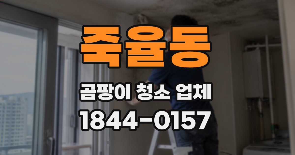 죽율동 곰팡이 청소 업체