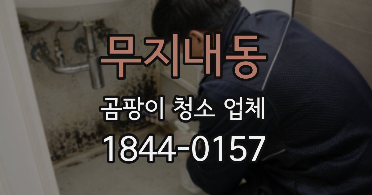 무지내동 곰팡이 청소 업체