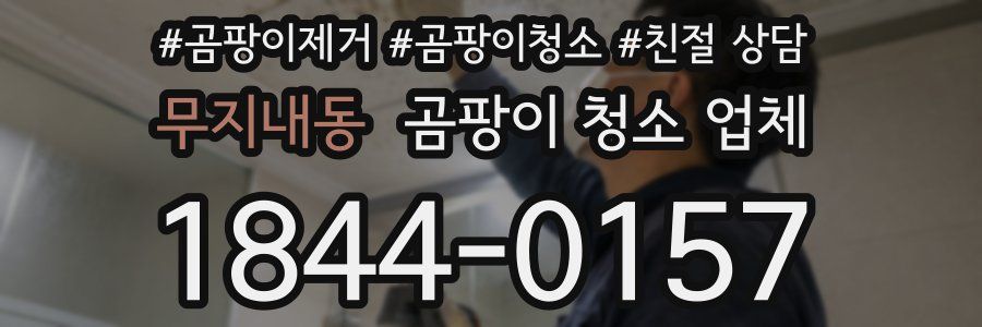 무지내동 곰팡이 청소 업체