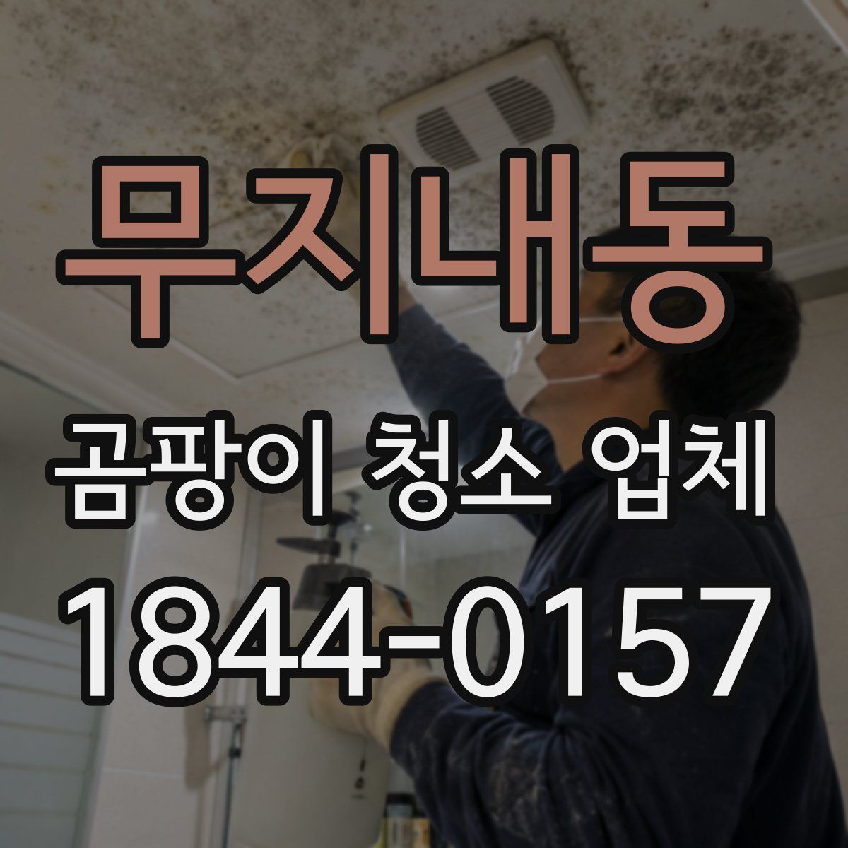 무지내동 곰팡이 청소 업체