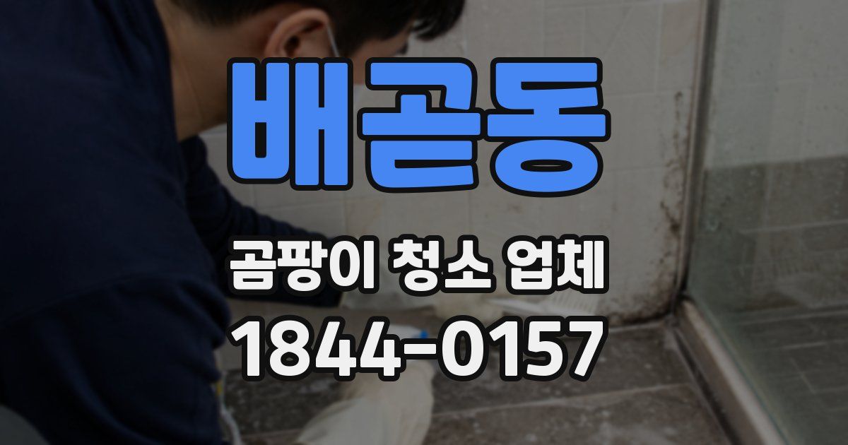 배곧동 곰팡이 청소 업체