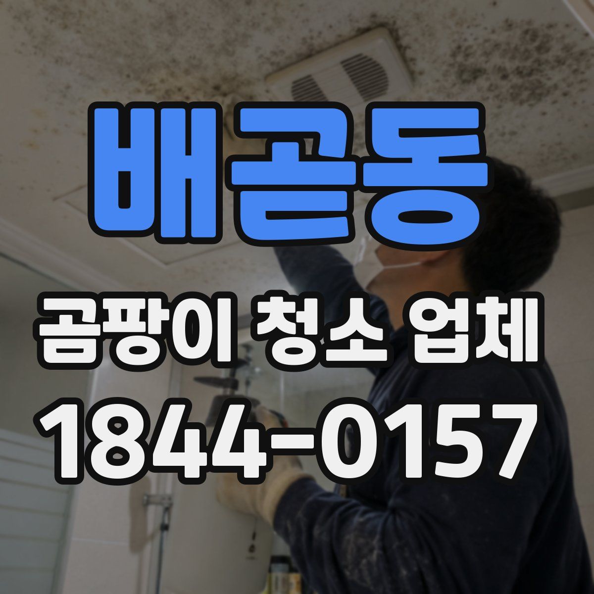 배곧동 곰팡이 청소 업체