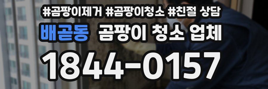 배곧동 곰팡이 청소 업체