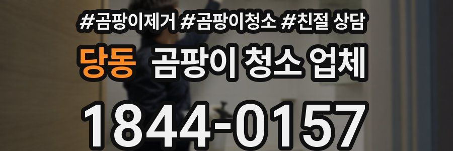 당동 곰팡이 청소 업체