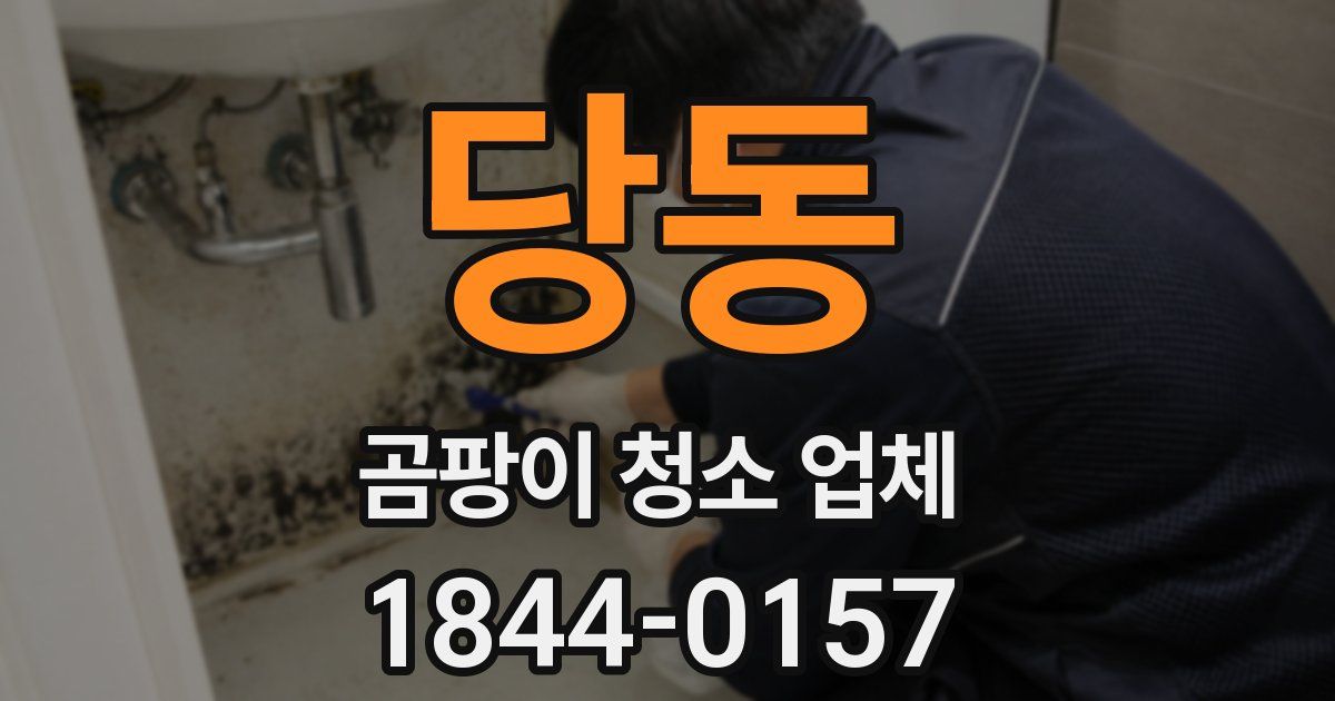 당동 곰팡이 청소 업체